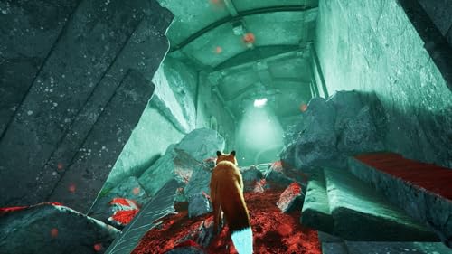 Spirit of the North 2 Playstation 5