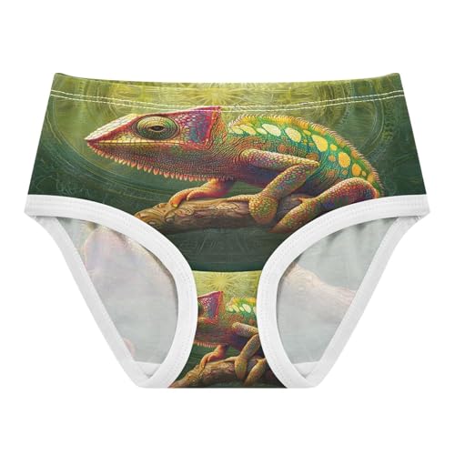Cute Chameleon Green Galaxy Toddler Girls's Underwear 2T 202b8745