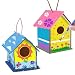 TRIXES 2 pezzi in legno per la casa degli uccelli, kit per bambini – Crea la tua scatola per uccelli - attività per bambini e adulti – Dipingi il tuo kit artigianale – Set di arte per bambini