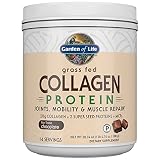 Garden of Life Grass Fed Collagen Protein Powder - Chocolate, 14 Servings, Collagen Powder for Joint