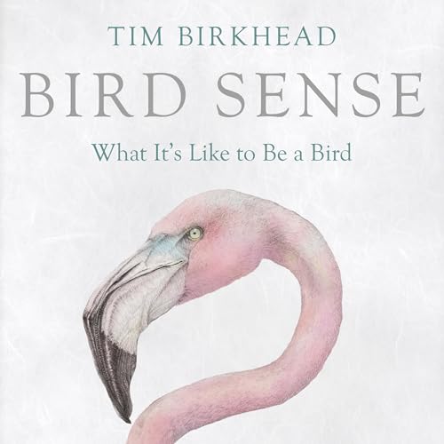 Bird Sense cover art