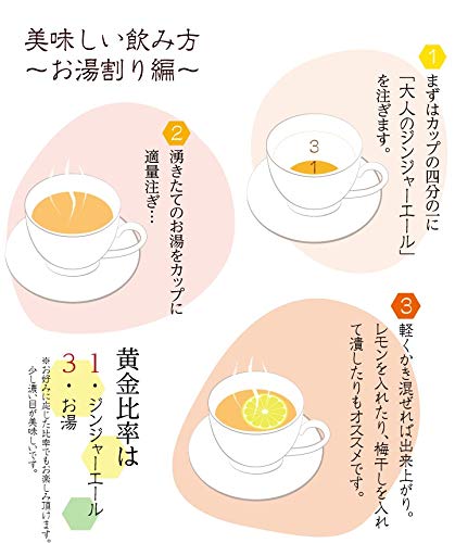 生姜工房 大人のジンジャーエール エコパック 730g