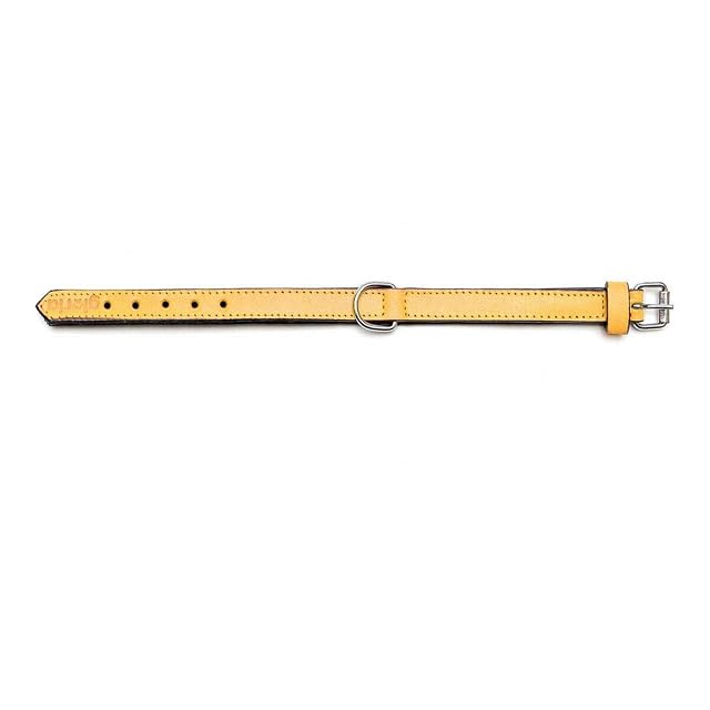 Foto 5 de 7 de GLORIA Collar Piel Acolchado 55CM X 25MM Amarillo