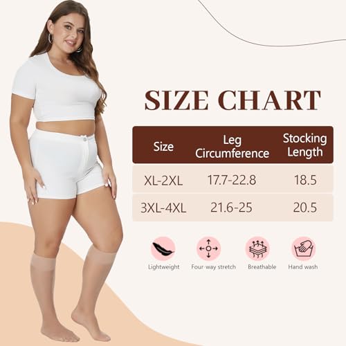 Yilanmy Meias femininas cano alto plus Szie de nylon transparente, 6 pares, Natural, 3X-Large-4X-Lar