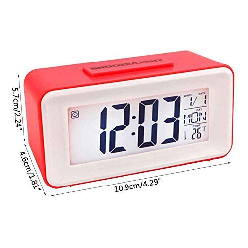 Back view of Hojo DS-3620 alarm clock showing battery compartment and control buttons.
