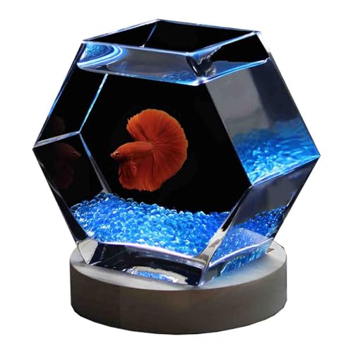 ガラス 金魚鉢 メダカ」の人気商品一覧・価格比較 - 価格.com