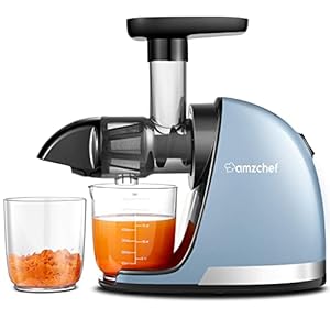 AMZCHEF Juicer Machines – Cold Press Slow Juicer -Masticating Juicer whole Fruit and Vegetable – Delicate Chew No Need to Filter – BPA Free Juice Extractor with 2 Cups and Brush – SlateBlue