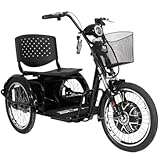 ZUB Duos Fox Novo 800W