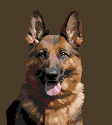Peinture à strass cristal chien 5D | Cadeau amusant adulte pour loisirs créatifs