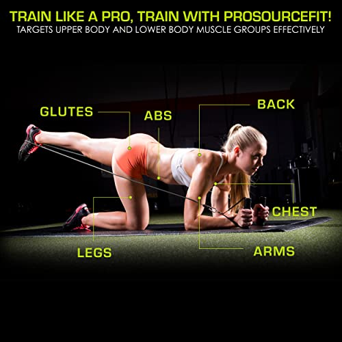Image of ProsourceFit Single Stackable Resistance Bands with Door Anchor and Exercise Guide, 8-12 LB, Heavy Duty Fitness Tube for Full-Body Exercises and Home Workouts