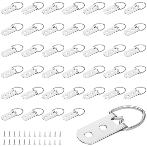 Image of 300 PCS Heavy Duty D Ring Hangers, Small D Ring Hook with Screw, Double Hole Picture Frame Hangers for Picture Hanging