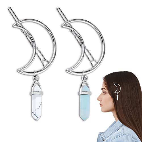 Ketar H315 Silver Half Moon Hair Clips cover