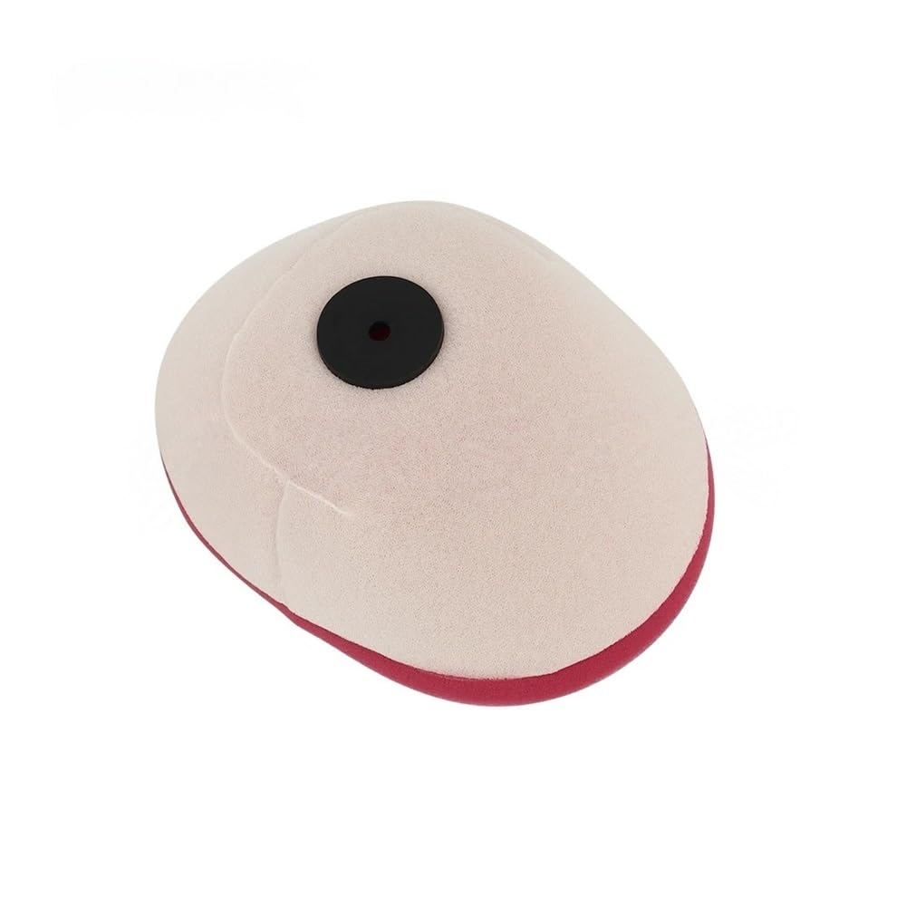 Moto Filtro Aire Filtro De Aire Para Motocicleta Para GRIZZLY 125 Para YFM125G Para RAPTOR 250 Para YFM125R Para YFM250R Para YFS200