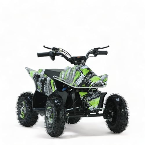 KXD ATV M2 Quad électrique 1000 W 36 V 25 km/h 6