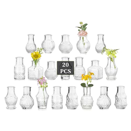 Glasseam Glas Kleine Vasen für Tischdeko: 20 Stück Mini Glasvasen Set Vintage Vase Klein für Hochzeit Party Geburtstag Home Wohnzimmer Tisch Deko