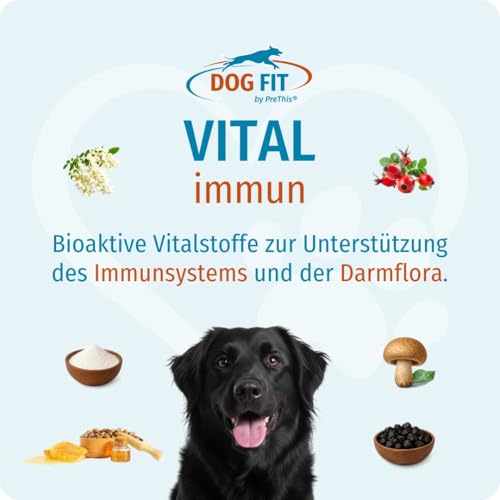 DOG FIT by PreThis® VITAL immun für Hunde I Mit Colostrum, Agaricus Blazei Murrill, Hagebuttenextrakt, Shilajit, Propolis I Ohne künstliche Zusätze I Large 25-50 kg