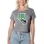 Oklahoma Baptist Bison