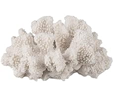 Image of White Coral Decor Coral. Brand catalog list of Nautical Crush Trading. With an score of 4.0.