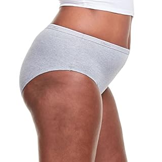 Hanes Women's 6 Pack Core Cotton Brief Panty, Assorted, Medium