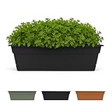 Bloem DCBT30-00 Dura Cotta Plant Window Box, 30-Inch, Black