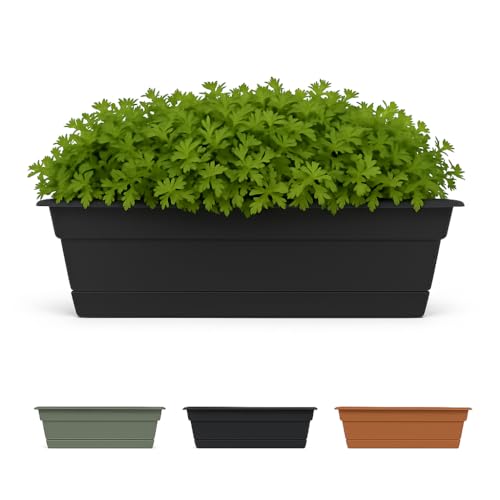 Bloem Dura Cotta Window Box Planter: 18