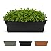 Bloem DCBT30-00 Dura Cotta Plant Window Box, 30-Inch, Black, 4 Gallon