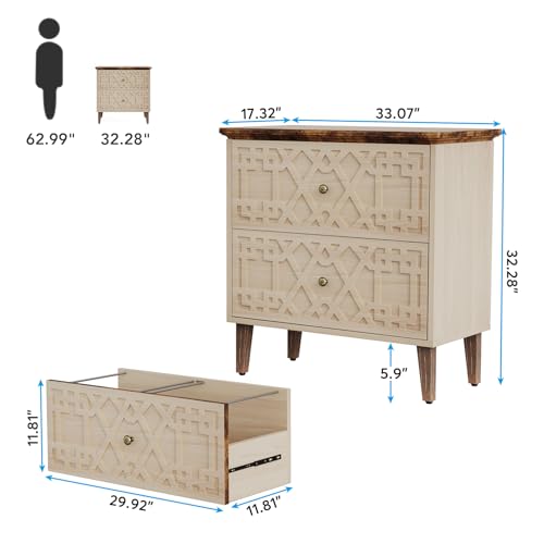 Tribesigns RY0008 2 Drawer Lateral File Cabinet, Office Filing Cabinet thumb #1