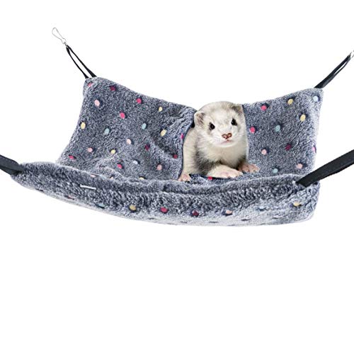 Best Rat Cages