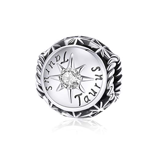 Image of 12 Constellation Charms 925 Sterling Silver Crystal Zircon Charms Family and Friends' Birthday Charm Birthstone Charms for Women Bracelets