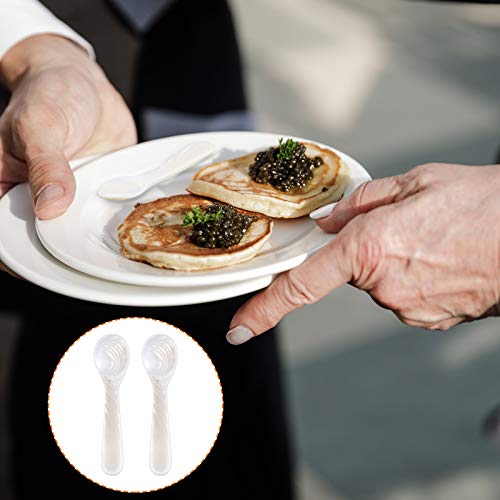 Set Of Caviar Spoons Shell Spoon Mother Of Pearl Caviar Spoons W Round Handle For Caviar, Egg, Ice Cream, Coffee, Restaurant Serving (2 Pieces,3.54 Inches) #TOP5