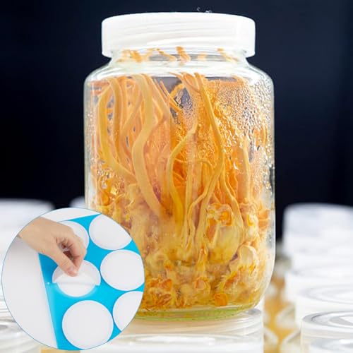 Image of GORGECRAFT 24Pcs 4 Sheet Synthetic Filter Paper Stickers 76 mm Filter Disc 0.3μm Wide Mouth Mason Jar Filters Patch Self Adhesive Tape Sticker for Mushroom Cultivation Jar Lids Mason Jars