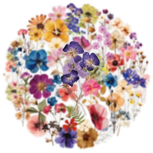 Image of Transparent Flora Scrapbook Stickers Aesthetic Flowers Stickers(50) | Transparent & Waterproof Sticker for Scrapbook Journal Water Bottle Kindle, DIY Crafts, Party Supplies