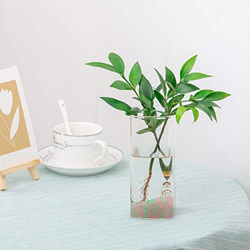 Planter Terrariums - 2 Pack Glass Terrariums Hanging Vase Terrariums For Hydroponic Plants,Flower,Indoor Outdoor Home Garden Decoration #TOP7