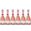 Buy the Exquisite JP Chenet Raspberry & Hibiscus Sparkling Wine (6-Pack, 0.75L) – A Natural Delight! – J.P. Chenet