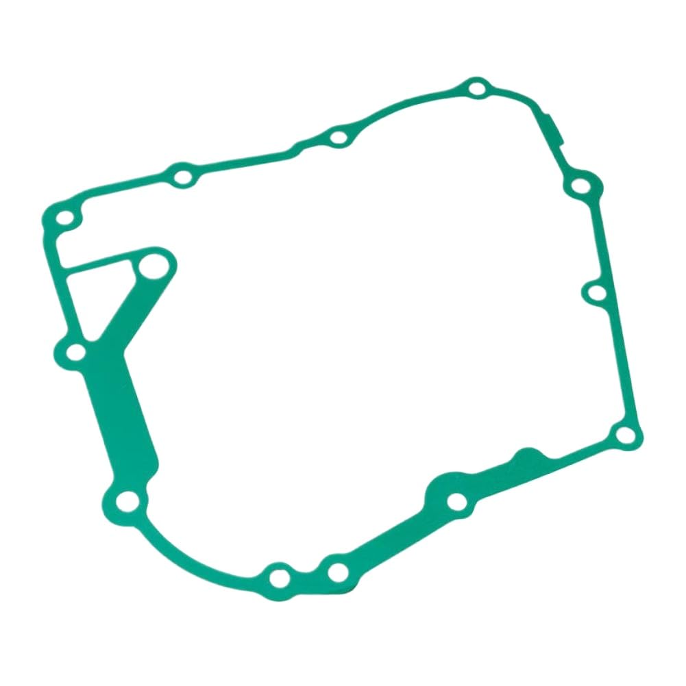 Joint de couvercle de générateur compatible avec DS250 2006-2024
