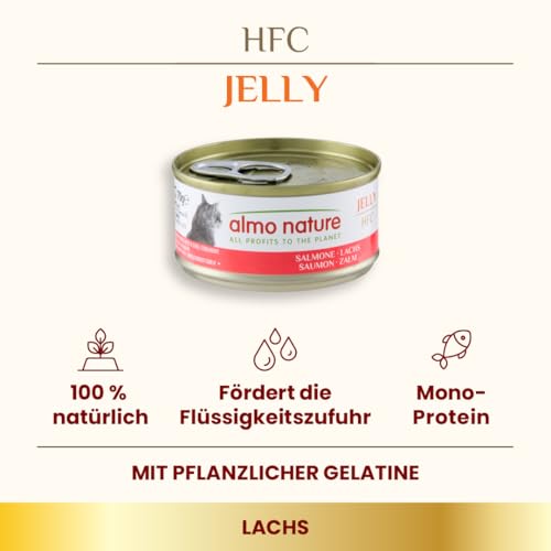 Almo Nature HFC Jelly - Nassfutter für ausgewachsene Katzen - Lachs - Human Grade, Glutenfrei & Monoprotein - 6 x 70g