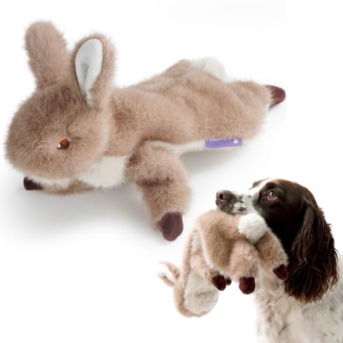 Fuzzwoof No-Stuffing Bunny Squeaky Dog Toy Cute Plush Puppy Teething Toy to Keep Them Busy Rabbit Interactive Tug of War & Dental Chew for Small Medium Large Dogs