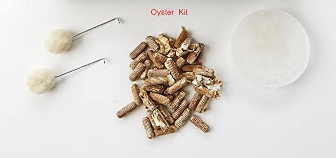 Sponsored Ad - Oyster Plug Spawn Starter Kit - Grown Your Own Log Grown Mushrooms