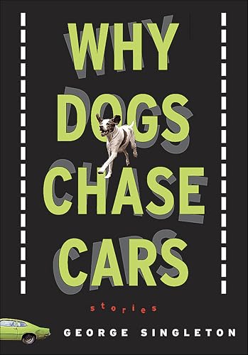 Why Dogs Chase Cars: Tales of a Beleaguered Boyhood (Shannon Ravenel Novels)