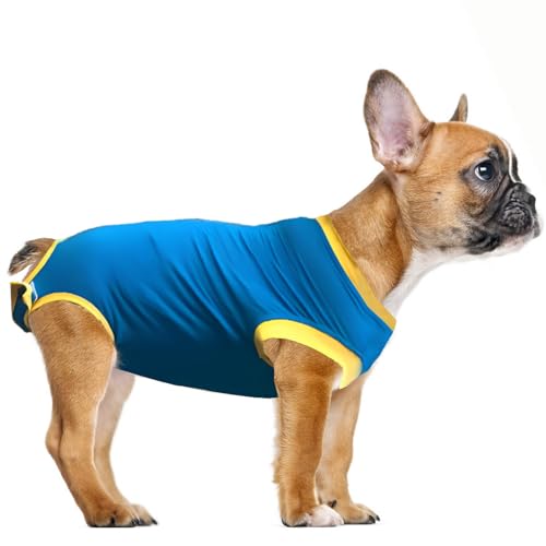 Image of Dog Surgery Recovery Suit After Spay, Dog Onesies for Small, Medium & Large Pet, Abdominal Wounds Post Surgical Recovery Suit lternatives to E-Collars Bandages Recovery Cones (Blue, 2XLarge)