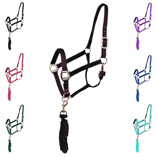 Majestic Ally Halter with Lead Rope for Horses–Adjustable Chin and Crown–Rolled Throat Latch with Replaceable Snap–Padded Noseband–Heavy Duty Rose Gold Finish Hardware–Full (Black, Draft)
