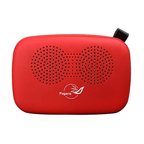 Image of PAGARIA Portable Radio & Alarm Clock Bluetooth Speaker with Remote /Alarm /USB /am /fm /SD Card /aux /Bluetooth Recording /mic Recording. (Red), Standard (SAN101)