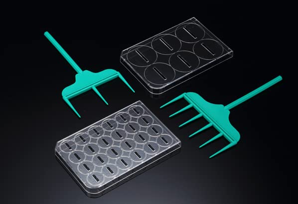 SPLScar Scratcher 24 Well Lip with 1 mm Width tip Sterile Case of 20