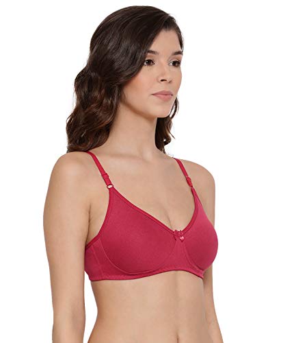 Image of Lyra Women's Cotton Non Padded Wire Free T Shirt Bra