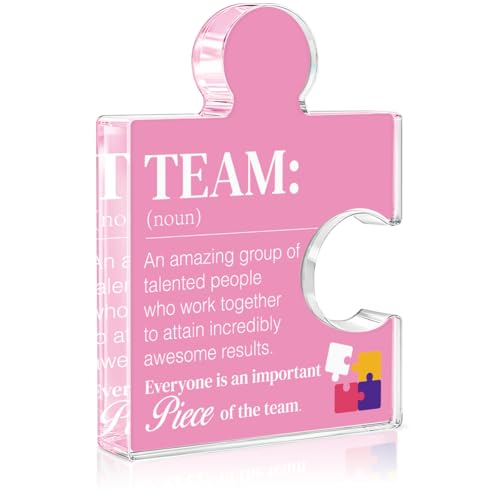 Team Gift Thank You Appreciation Gifts for Women, Best Team Ever Gifts for Coworkers Colleagues Employees, Teams Definition Acrylic Puzzle Piece Plaque Office Decor