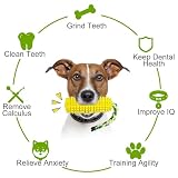 BITEFU 2 Stücksatz Hundespielzeug Set,Maiskolben Hundespielzeug unzerstörbar,für große Hunde,Aggressive Kauer,Plüsch-Kauspielzeug Der,Quietschend großer böser Wolf für kleine und mittlere Hunde