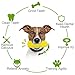 BITEFU 2 Stücksatz Hundespielzeug Set,Maiskolben Hundespielzeug unzerstörbar,für große Hunde,Aggressive Kauer,Plüsch-Kauspielzeug Der,Quietschend großer böser Wolf für kleine und mittlere Hunde