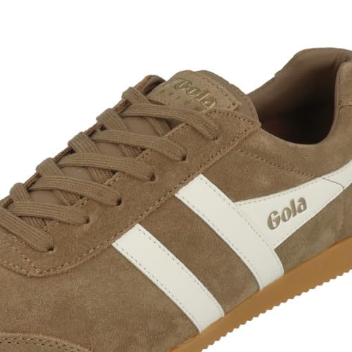 Image of Gola Harrier