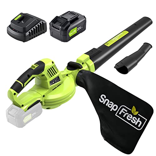 Best Battery Blower Vac