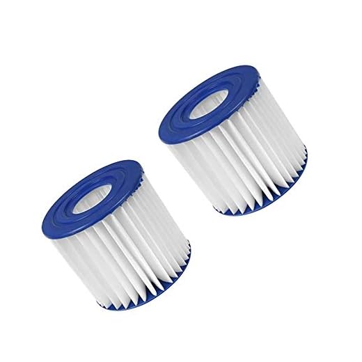 Summer Waves P57100102 Swimming Pool Pump Filter Cartridge, Type D Pack of 2